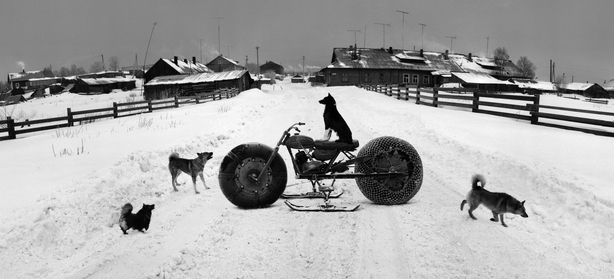 Solovki, White Sea, Russia (Dog on motorbike)