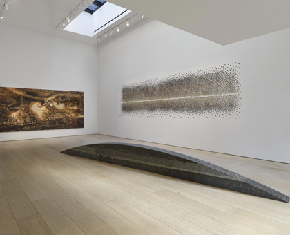 Teresita Fernández, Soil Horizon