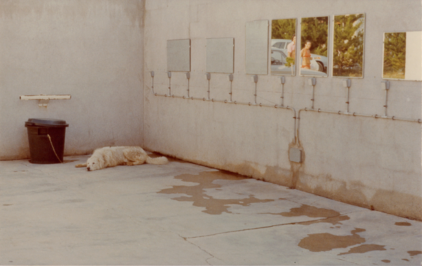 Luigi Ghirri  Matthew Marks Gallery