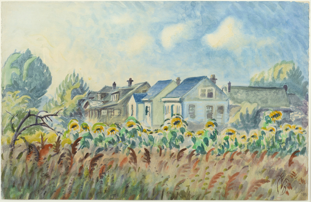 Sunflower Row