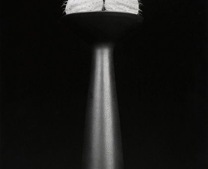 Robert Mapplethorpe. Behold the lowly vessel